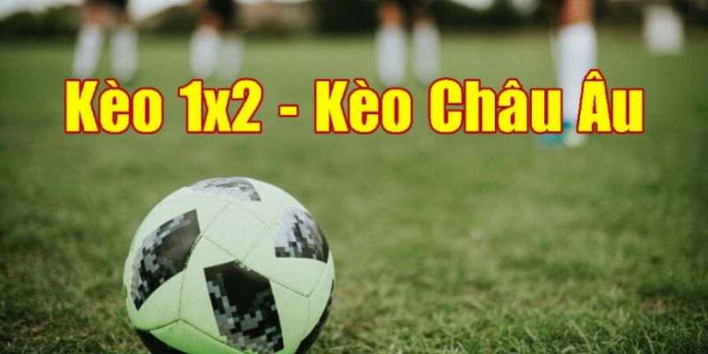 Tỷ Lệ Kèo Châu Âu Là Gì? 5 Sự Khác Biệt So Với Kèo Châu Á 1 Hiểu rõ cách đọc tỷ lệ kèo châu Âu để đặt kèo chuẩn xác hơn
