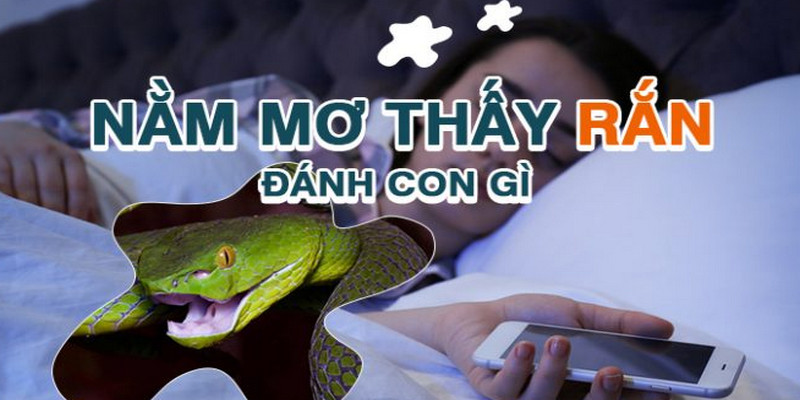 chiêm bao thấy rắn thì nên đánh con gì là hợp lý