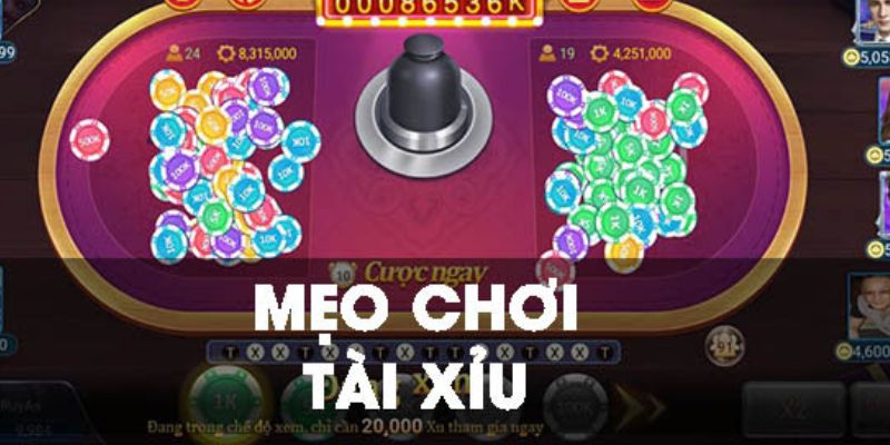 5 Cách Chơi Tài Xỉu Đảm Bảo Có Lời Không Bị Âm Hết Vốn 1 Học hỏi cách chơi tài xỉu sao cho mau thắng