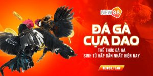 Da ga cua dao The thuc da ga sinh tu hap dan nhat hien nay