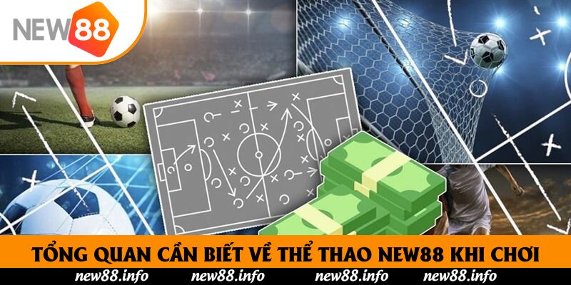 Chuyên mục Thể thao - Cùng dự đoán kết quả trận đấu để nhận thưởng từ New88